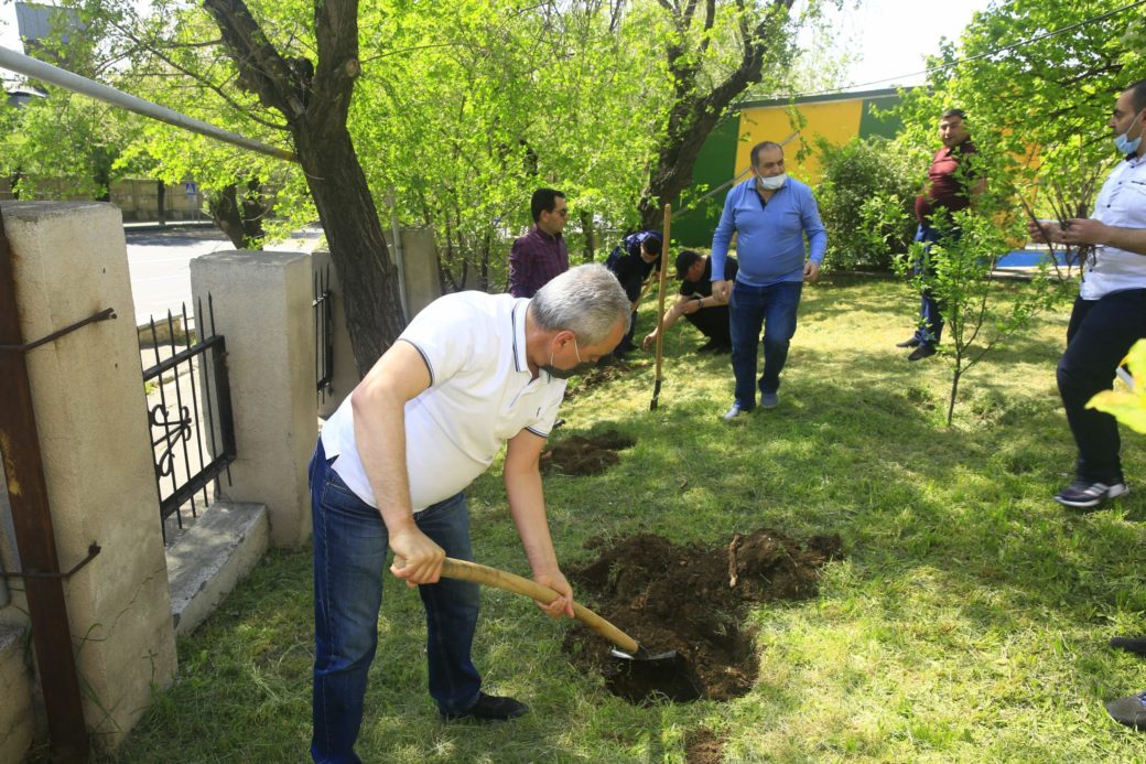 Общегосударственная инициатива по высадке деревьев